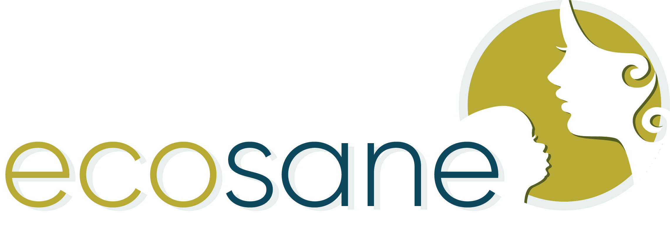 def-logo-ecosane-05